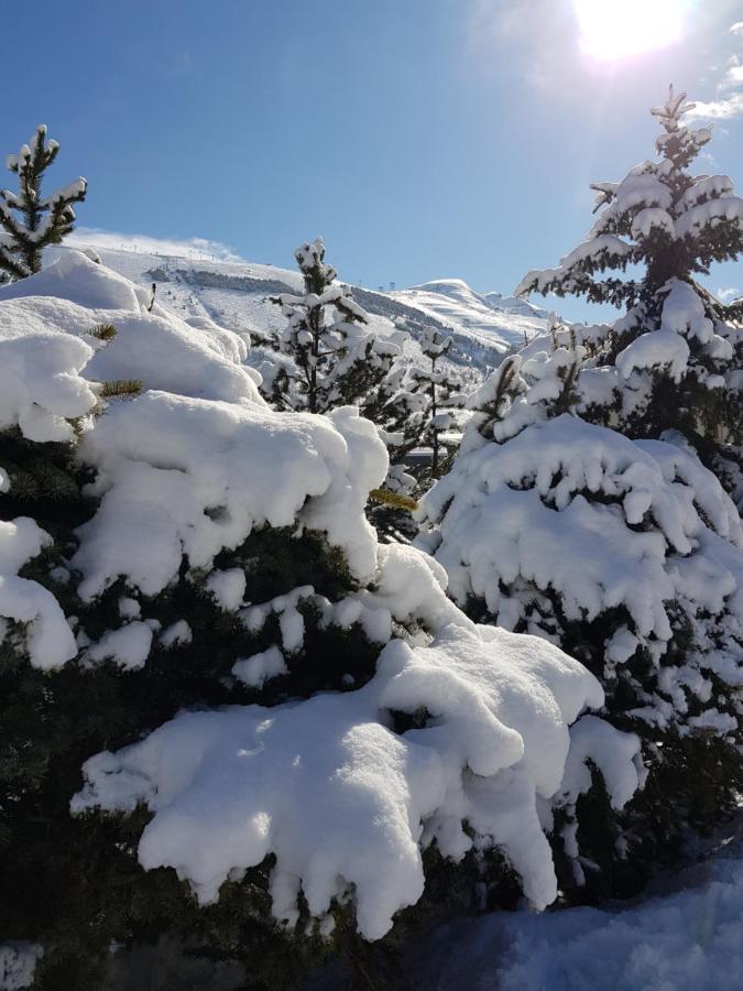 Residence : Le Crystal Chalet Les Deux Alpes Bagian luar foto